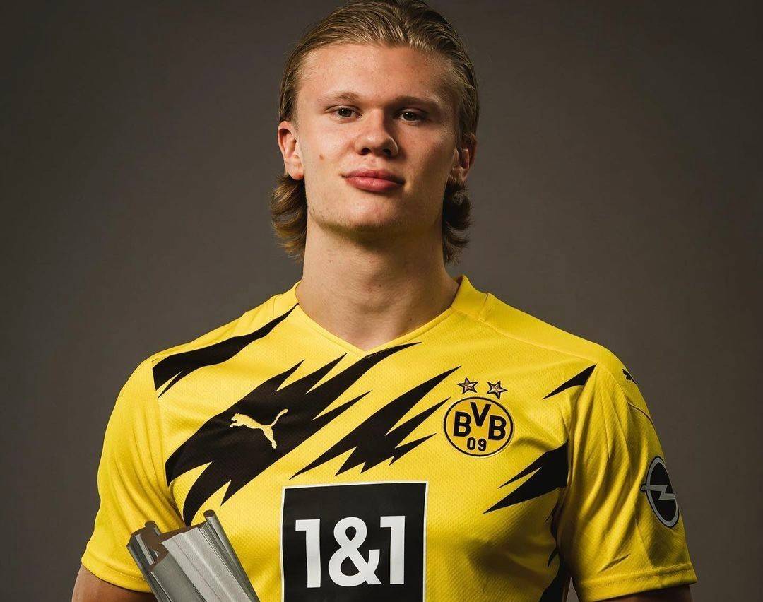 新体系里 新体系里